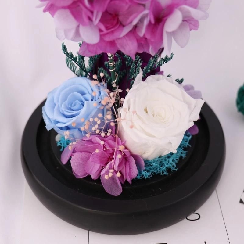 Wholesale 2018 New Products Beautiful Colorful Preserved Fresh Flower Preserved Rose in LED Light Glass Dome