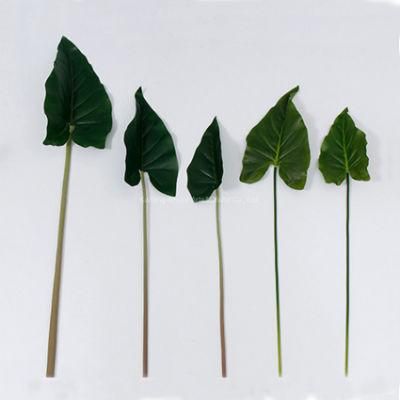 Home Decoraive Green Plastic Alocasia Artificial Leaves for Sale