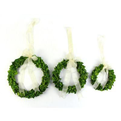 Different Size Preserved Boxwood Ring Wreath with Ribbon for Spring