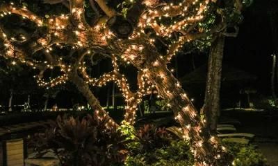 Outer Decoration Light in Garden