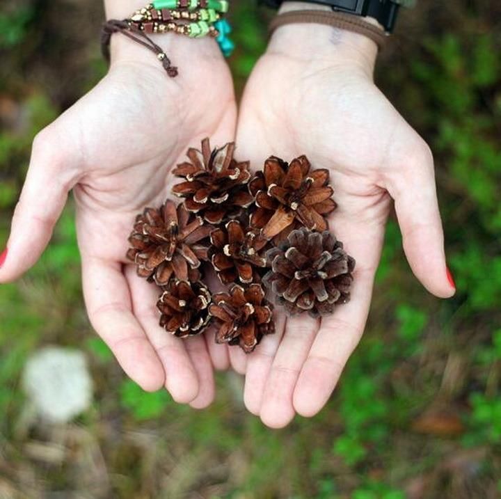 Christmas Tree Ornament Pendant Paint White Natural Pine Cones