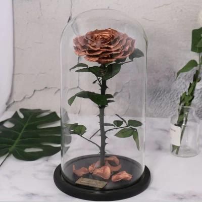 Best Valentines Day Gifts Multiple Colours Preserved Everlasting Real Rose Flower in Glass Dome