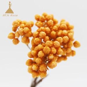 Christmas Decorative Rice Flower Preserved by NTN Rosa