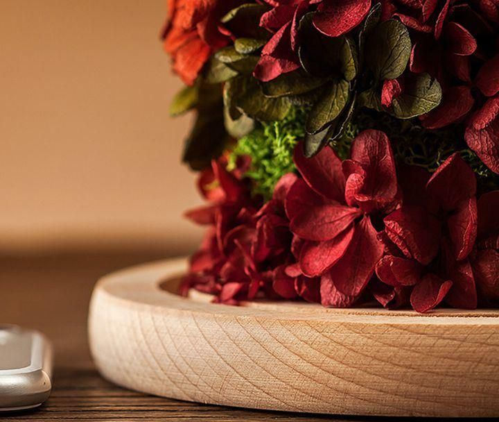 Japanese Quality Fresh Preserved Flower Rose Custom in Glass Dome