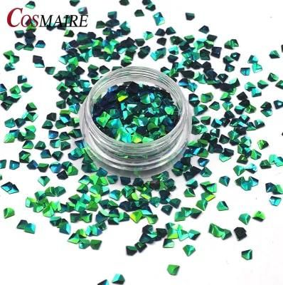 New Arrival Pet Glitter Powder Glitter for Nail Crafts Hair Art Decoration