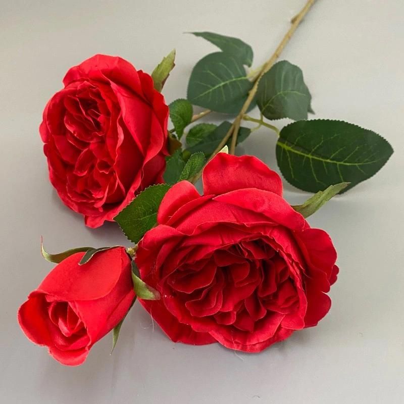 High Quality Artificial Austin Rose Flower for Wedding Decoration