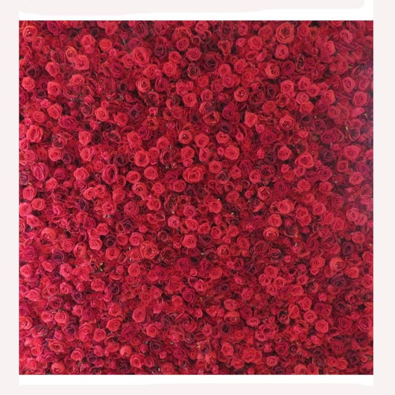 Silk Flower Wall Red Rose Flower Wall Panel for Wedding Decor Different Types to Customize Latest Designs Backdrop