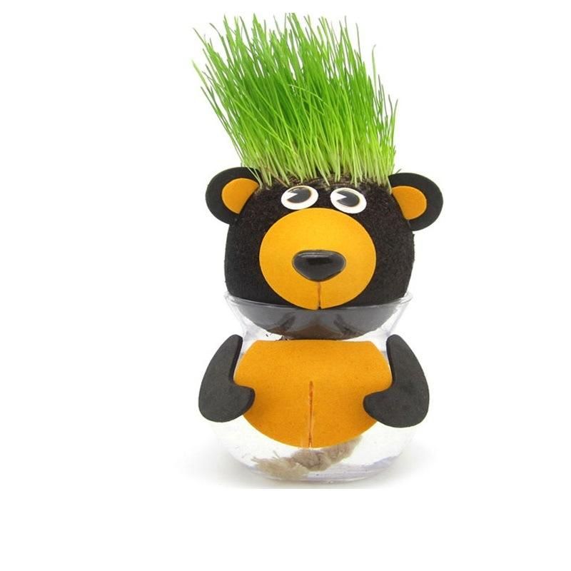 Personalized Novelty Grass Head Gift