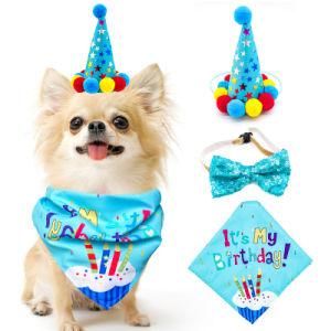 Birthday Glitter Headwear Dog Puppy Cat Accessory Party Costume
