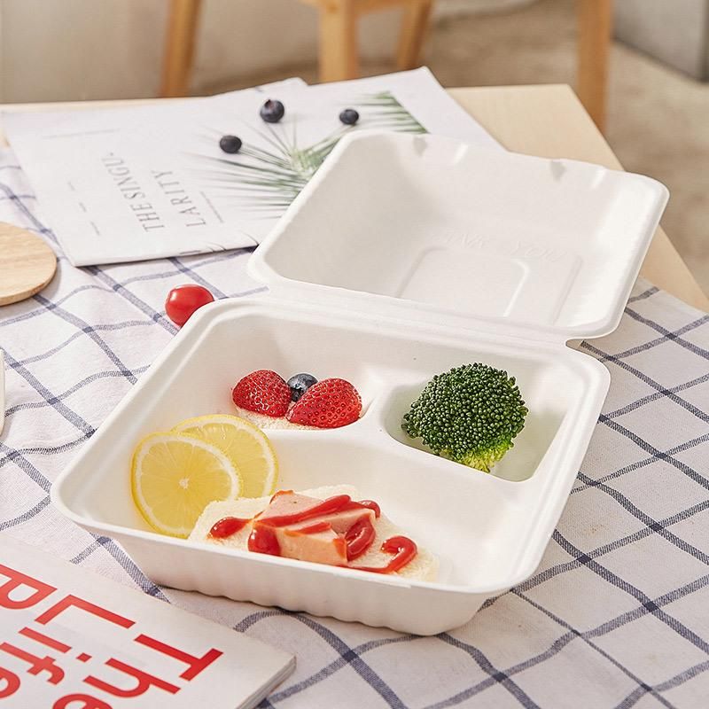 Sugarcane Compostable Bagasse Biodegradable Tableware Food Container