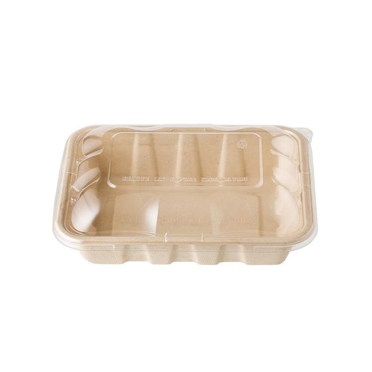 Customized Eco Friendly 100% Biodegradable Compostable Diaposable Sugarcane Box