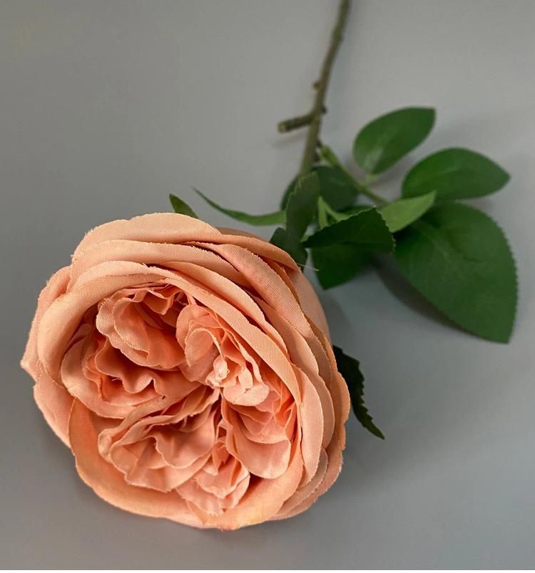 Hot Sale Artificial Austin Rose Flower for Home or Wedding Decoration