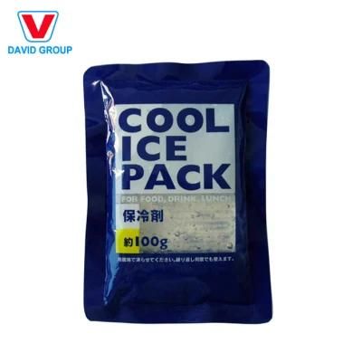 Custom Ice Pack Gel Packs Food Transparent Cooler Bag