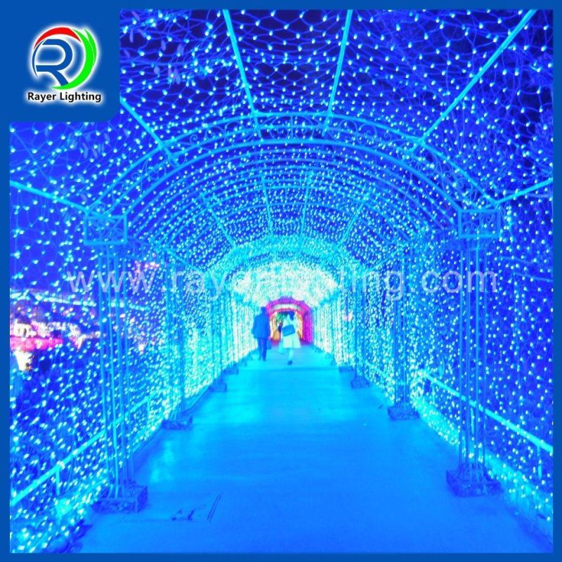 LED Decoration Outdoor Decoration Christmas Light LED String Light