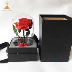 Preserved Real Fresh Red Color Little Prince Rose in Bell Glass
