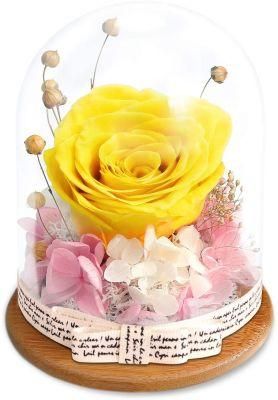 Forever Red Rose in Glass Dome - Handmade Artificial Flowers Galaxy Roses Idea Gifts for Women or Friend or Family on Christmas Valentine&prime;s Day.