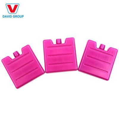 Promotion Gifts Summer Limited Reusable Ice Box for Picnic Preservation
