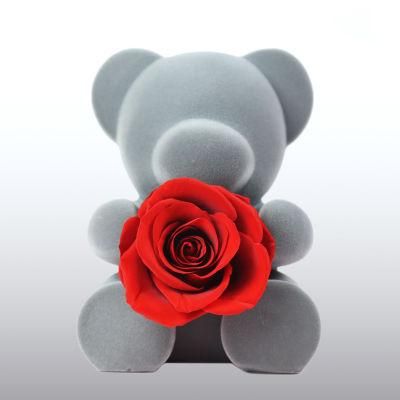 Beautiful Handmade Real Fresh Preserved Rose Honey Sitting Teddy Bear for Girlfriend Love Gift