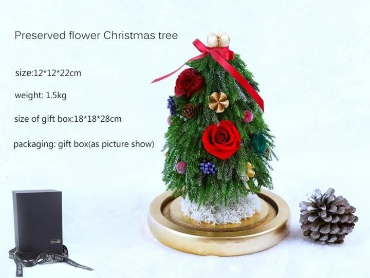 Forever Christmas Gift Tree Decoration Preserved Roses in Glass with LED Light