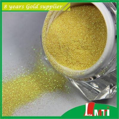 Pet Craft Glitter Powder for Fabric Sceen Printing