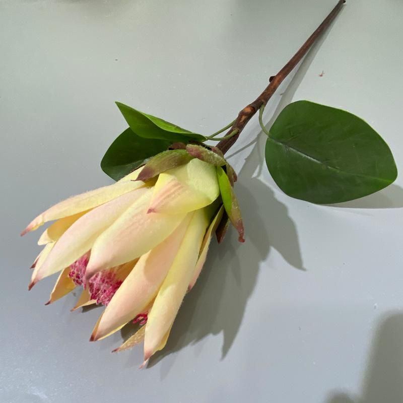 Wholesale High Quality Artificial Monarch Flower