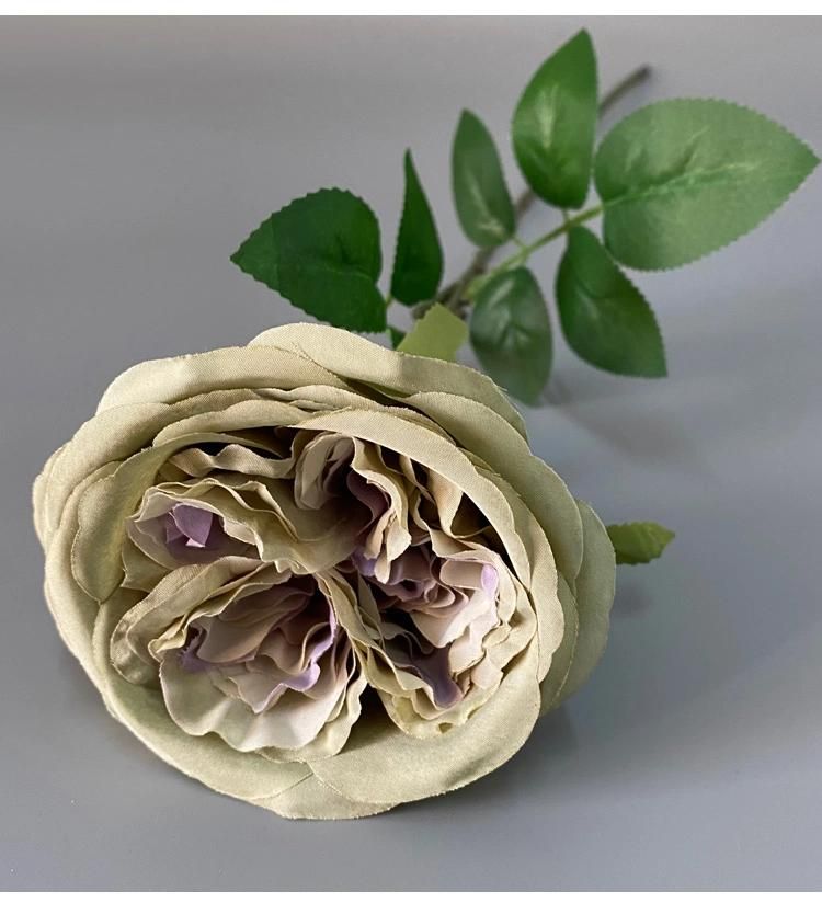 Hot Sale Artificial Austin Rose Flower for Home or Wedding Decoration