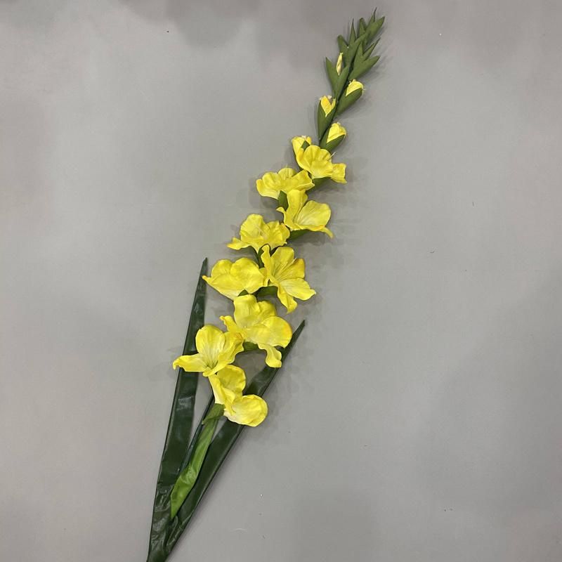 Tall Vase Gladiolus Wedding Flowers with Long Stem Wholesale