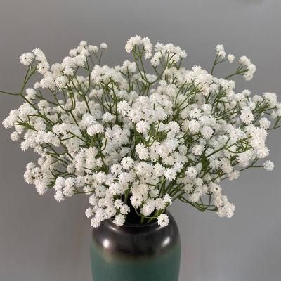 Wholesale Real Touch Flower Babysbreath Flower for Wedding Flower