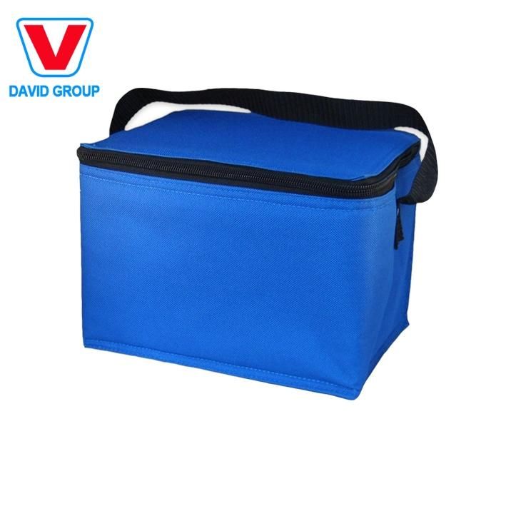Waterproof Polyester Picnic Insulated Cooler Bag for Keeping Food Fresh