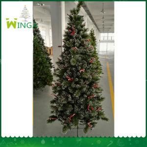 Christmas Trees Wholesale