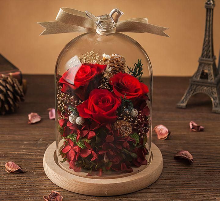 Japanese Quality Fresh Preserved Flower Rose Custom in Glass Dome