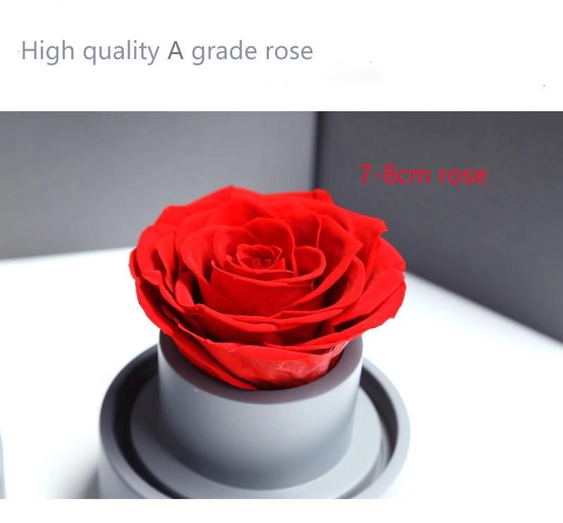 Factory Supplier Preserved Roses Music Box Christmas Flower Gift