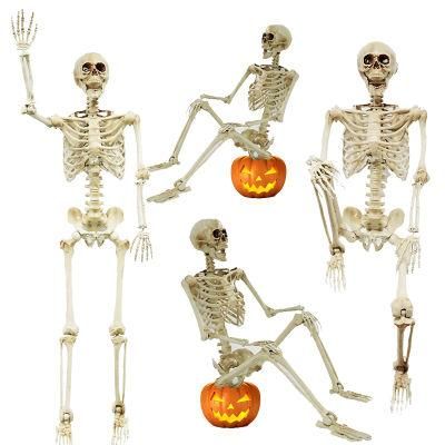 Human Bones Small 5 FT Halloween Skeleton for Holidays