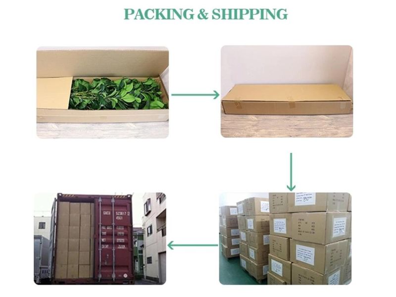 Professional Christmas Decorative Artificial Berry Fruit