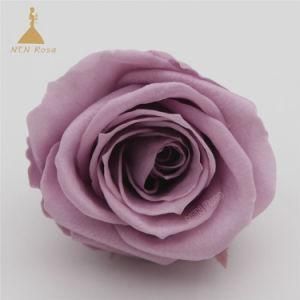 Wholesale A Grade Soft Touch Natural Eternal Forever Immortal Preserved Roses