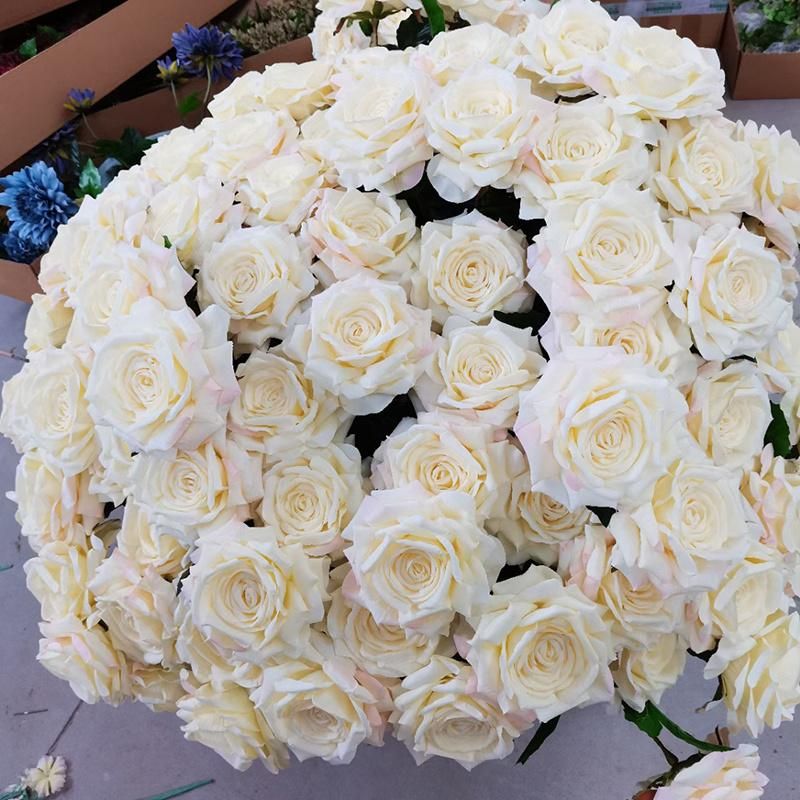 Higt Quality Big Size Silk Rose Flower Wholesale