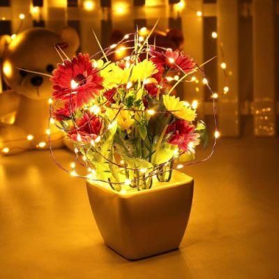 LED String Fairy Lights Curtain Lamp USB 10m 100 LEDs Light for Charistmas Party