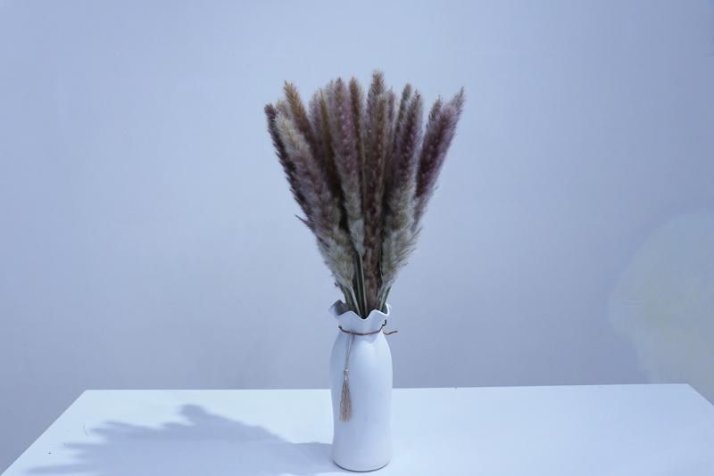 15PCS/Bundle Small Pampass Grass Bouquet of Dried Flowers Gifts for Lovers