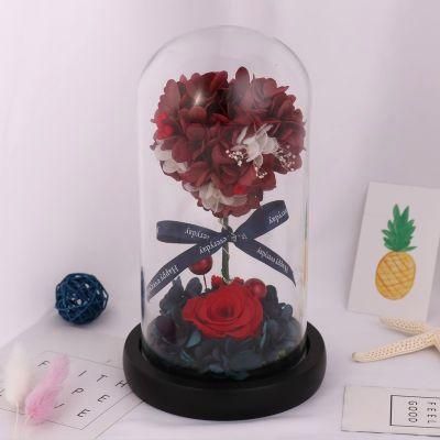 Beautiful Christmas Gifts Multiple Colours Preserved Everlasting Real Rose Flower in Glass Dome with Best Wishes