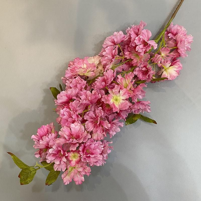High Quality Cherry Blossom Flower Tree Cherry Blossom Flower