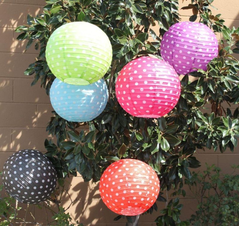 Custom Printed Polka DOT Paper Lanterns