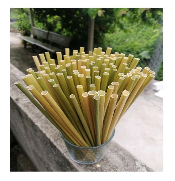 Eco-Friendly Grass Straw - No Contact PLA - Disposable Products From Vietnam