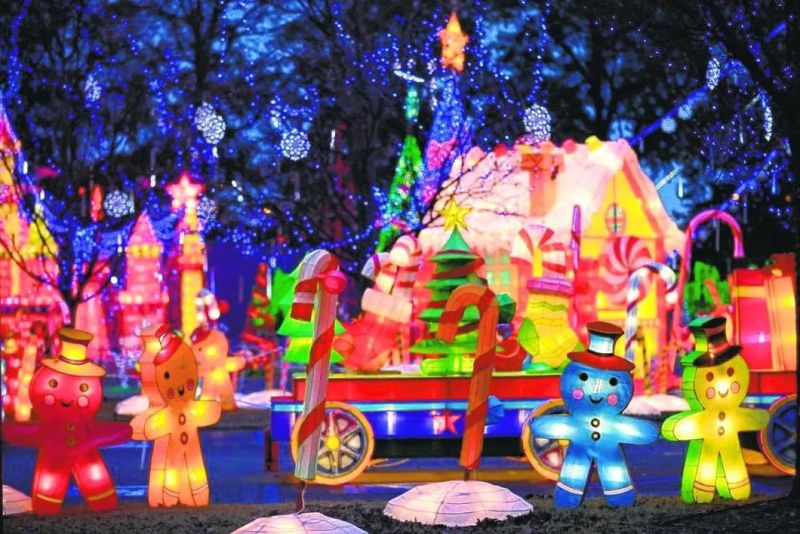 Outdoor 2D Street Home House Christmas Decoration Christmas Lighting