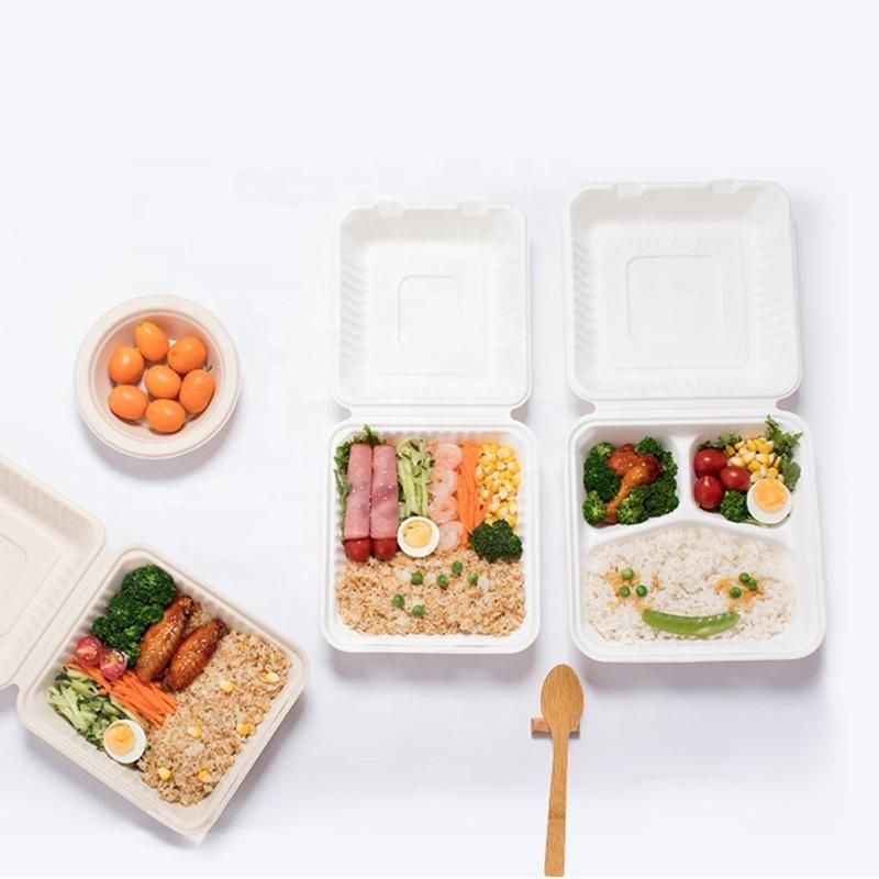 Sugarcane Compostable Bagasse Biodegradable Tableware Food Container