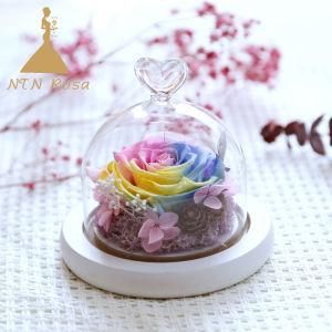 Preserved Real Roses in Glass Cloche Dome with Black Wooded Base