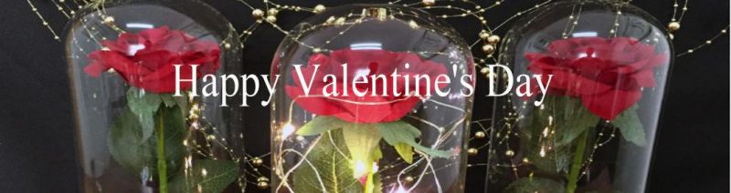 Valentines Day-Christmas - Wedding Anniversary-Birthday - Thanksgiving - Parents Day Gift