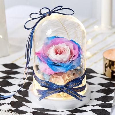 Preserved Roses Real Rose Flower with LED in Glass - with Black Gift Box- Beauty and The Beast Flower for Anniversary Valentine&prime;s Day Gifts