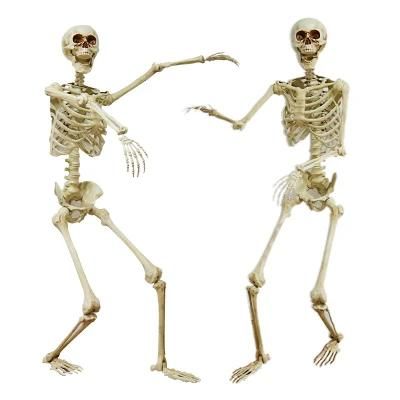 Cat Human Costume Halloween Skeleton for Holidays