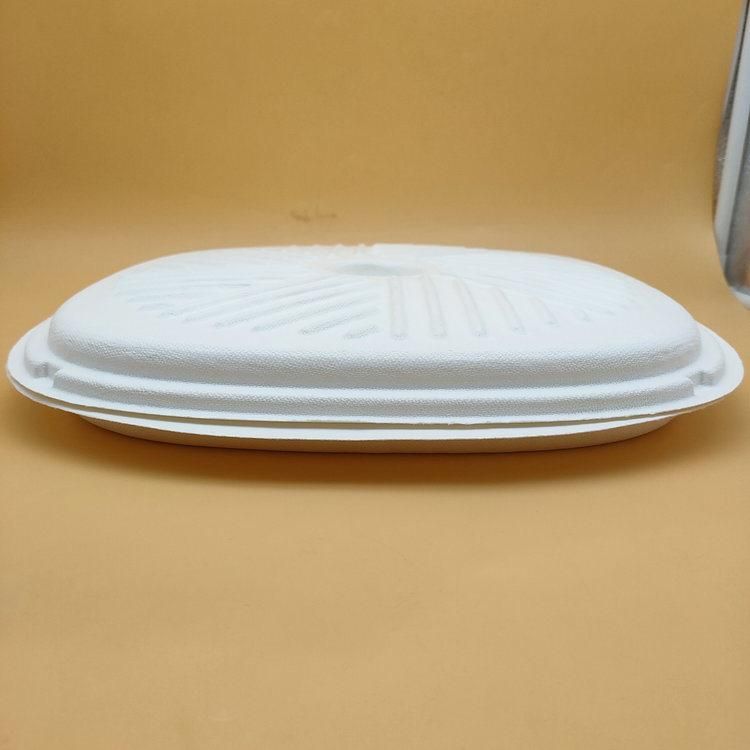 Bio Eco Friendly Sustainable Packaging Bagasse Pizza Clamshell Box